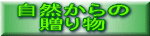 Řb݂łCȐl̃bZ[W